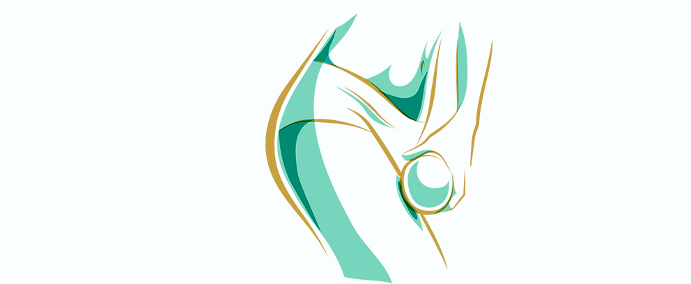 Reducción de Celulitis - 